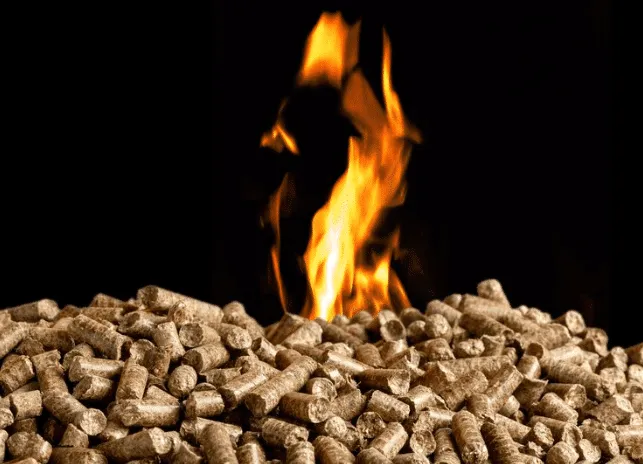 detrazione stufa a pellet